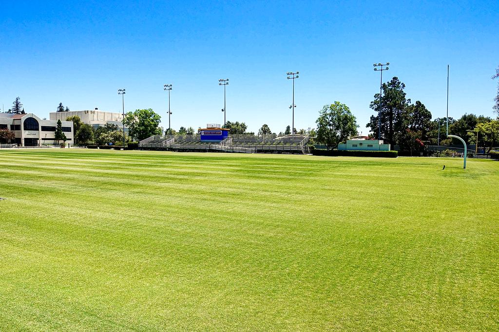 Group of diverse people engaged in lifestyle coaching session