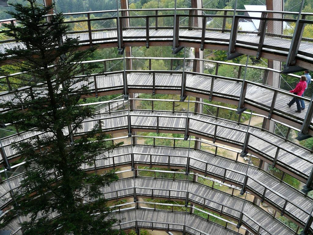 3D interface of AI mentor showing personalized analytics dashboard