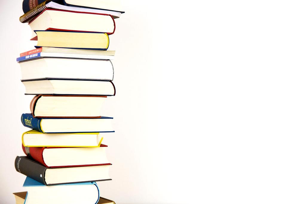 Dr. Elena Korhonen presenting neuroplasticity research findings