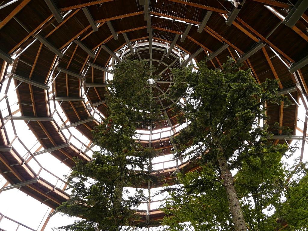 Anna Müller, Chief Executive Officer of hupybuy