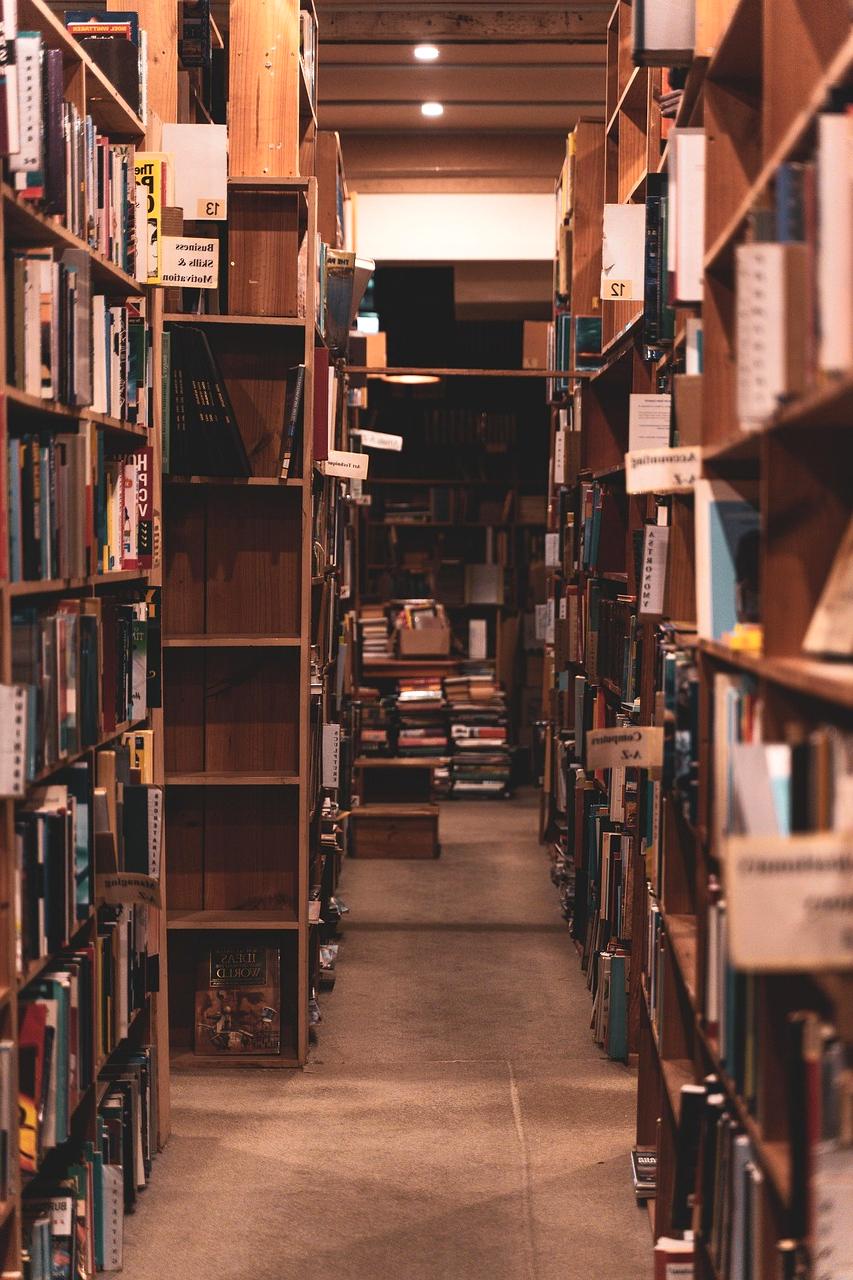 Eva Novak, Lead AI Specialist at hupybuy